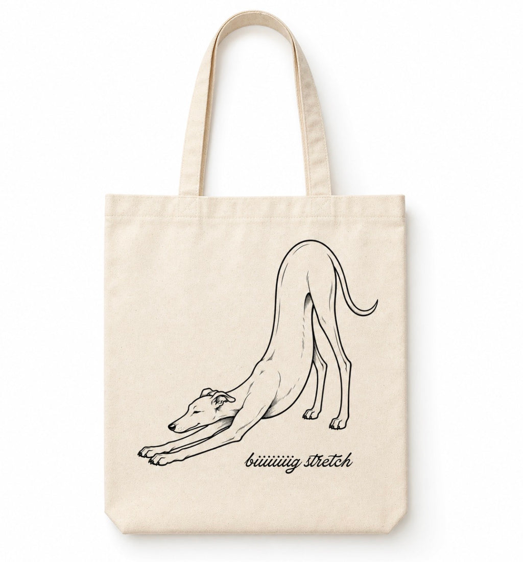 biiiiiiig stretch tote bag