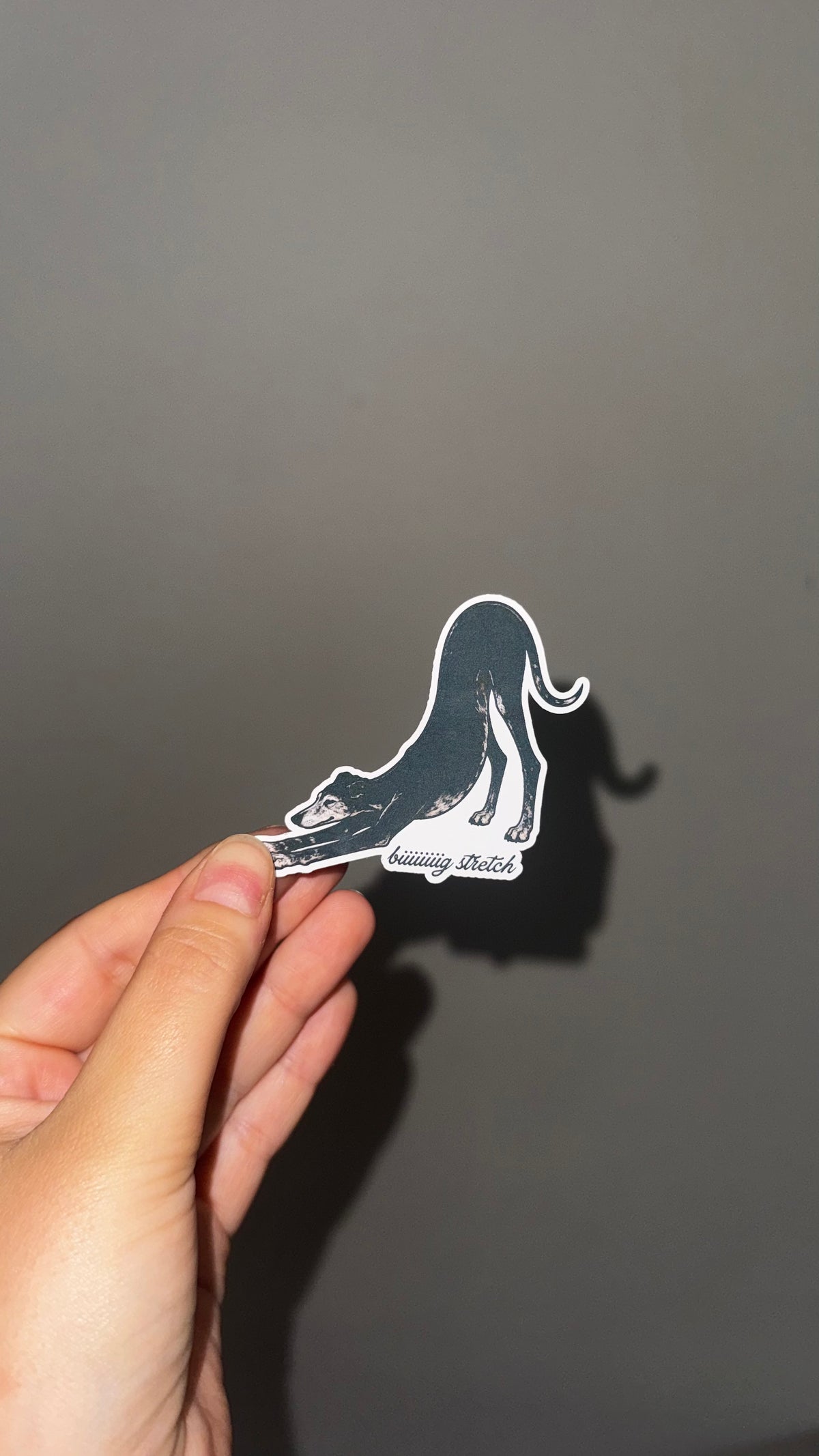 biiiiig stretch seniors stickers