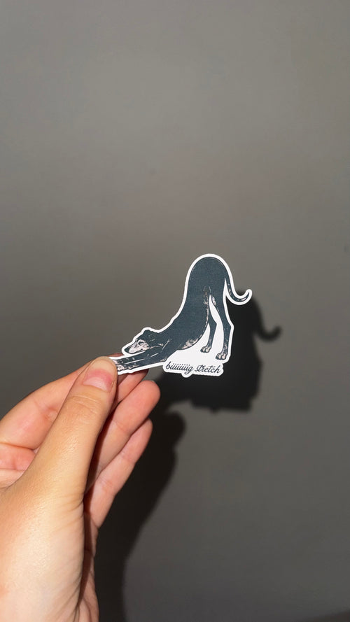 biiiiig stretch seniors stickers
