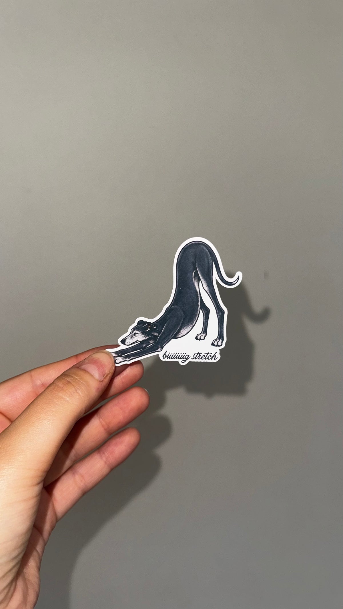 biiiiig stretch seniors stickers