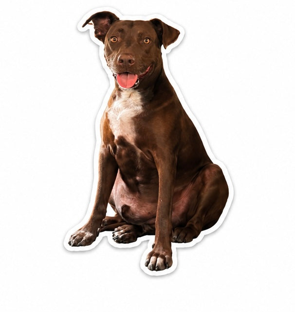 your pet custom stickers