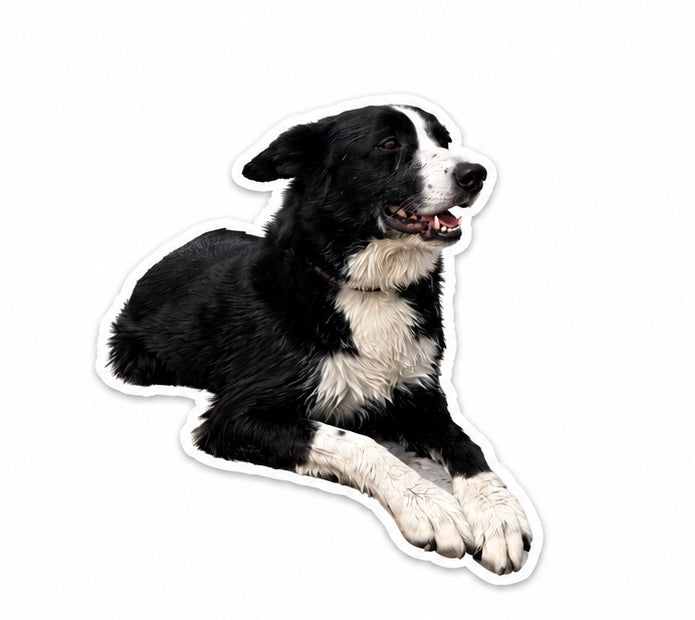 your pet custom stickers