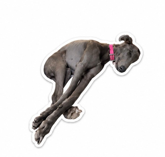 your pet custom stickers